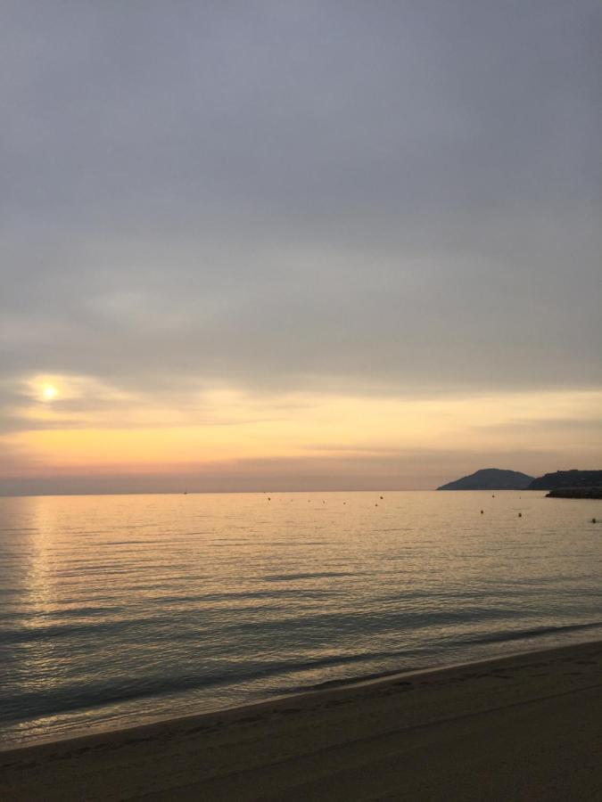 Appartamento Les Pieds Dans Le Sable Argelès-sur-Mer Esterno foto