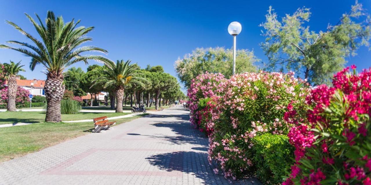 Appartamento Les Pieds Dans Le Sable Argelès-sur-Mer Esterno foto